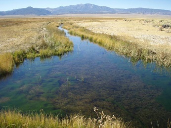 shallow stream flowing across grassy plain
