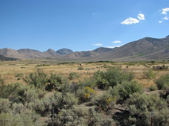 flat land with dry grass and shrubs surrounded by low hills treeless hills