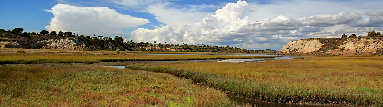 waterway winding through marshy meadows with low hills in the background