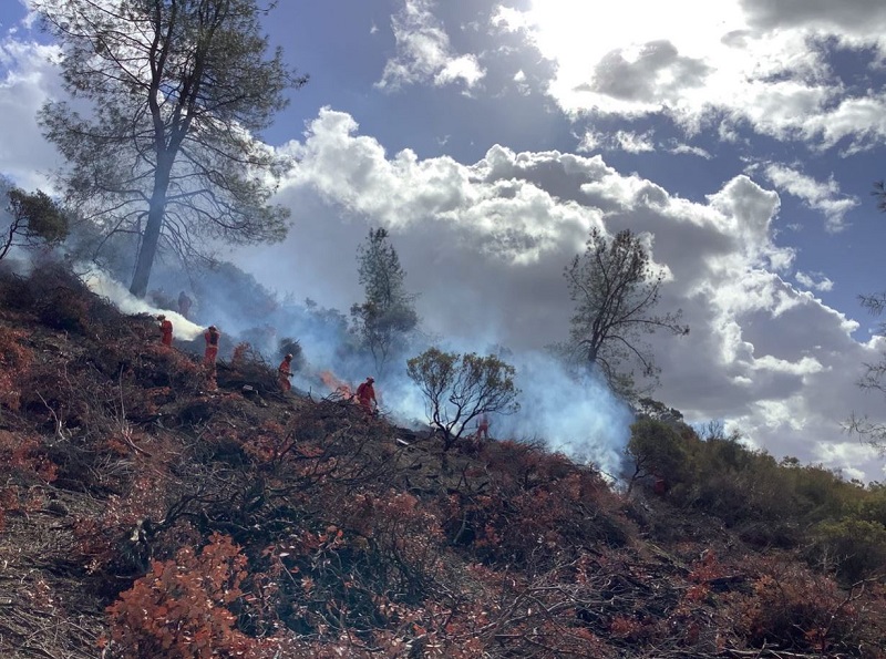 Burn pile treatment on Pine Hill Ecological Reserve 
