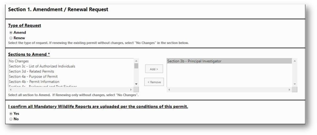 Selecting amendment or renewal screenshot
