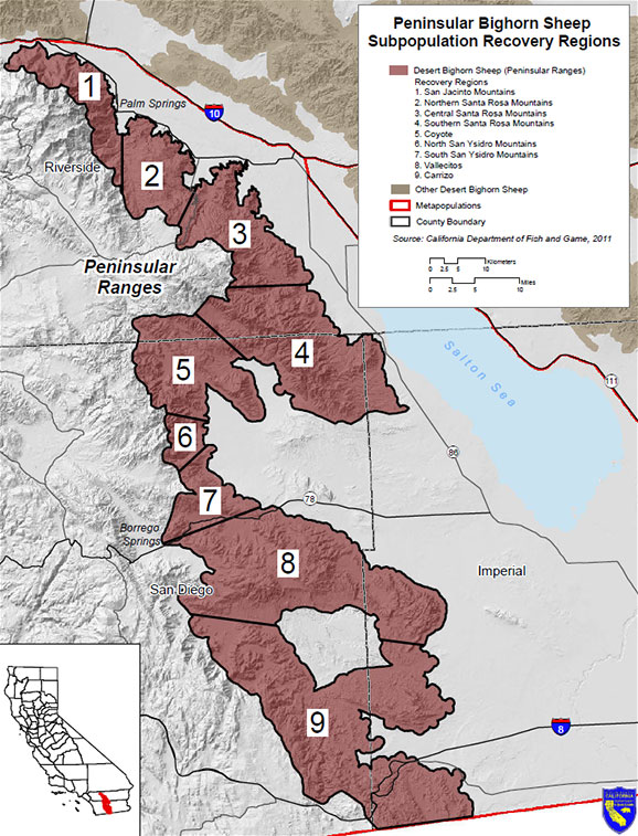 map of Peninsular desert bighorn sheep distribution in Sierra Nevada Mountains - link opens PDF in new tab