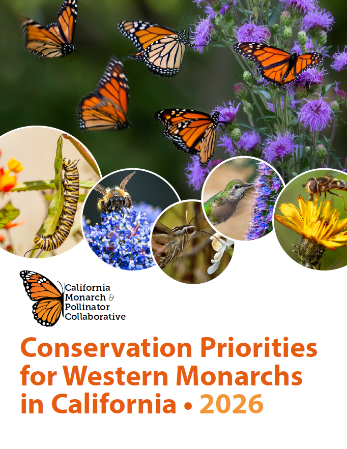 Monarch Butterfly - MultiAgency Collaborative Working Group
