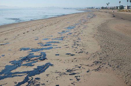 A stretch of Crown Beach littered with oil patties.