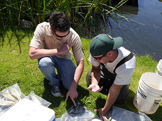 Laboratory staff examining samples