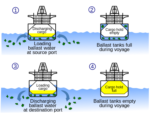Drawing of ballast water uptake and discharge