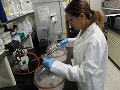 Inorganics laboratory chemist processing samples
