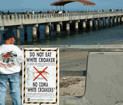 A populated pier and poster reading, 'Do Not Eat The White Croaker'