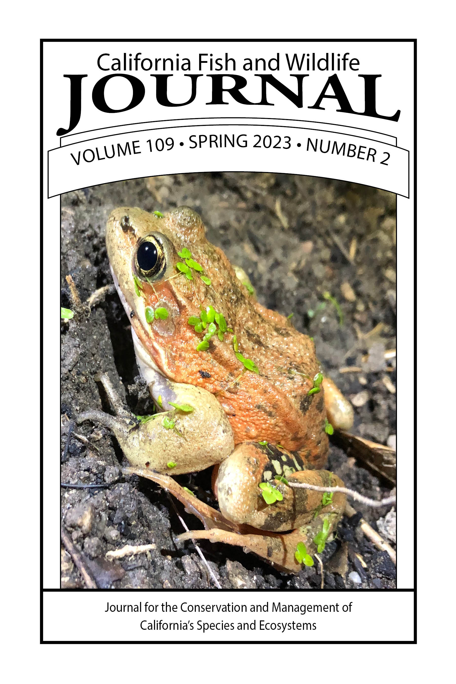 Cover of issue 109-2 with photo of a California red-legged frog sitting on a rock