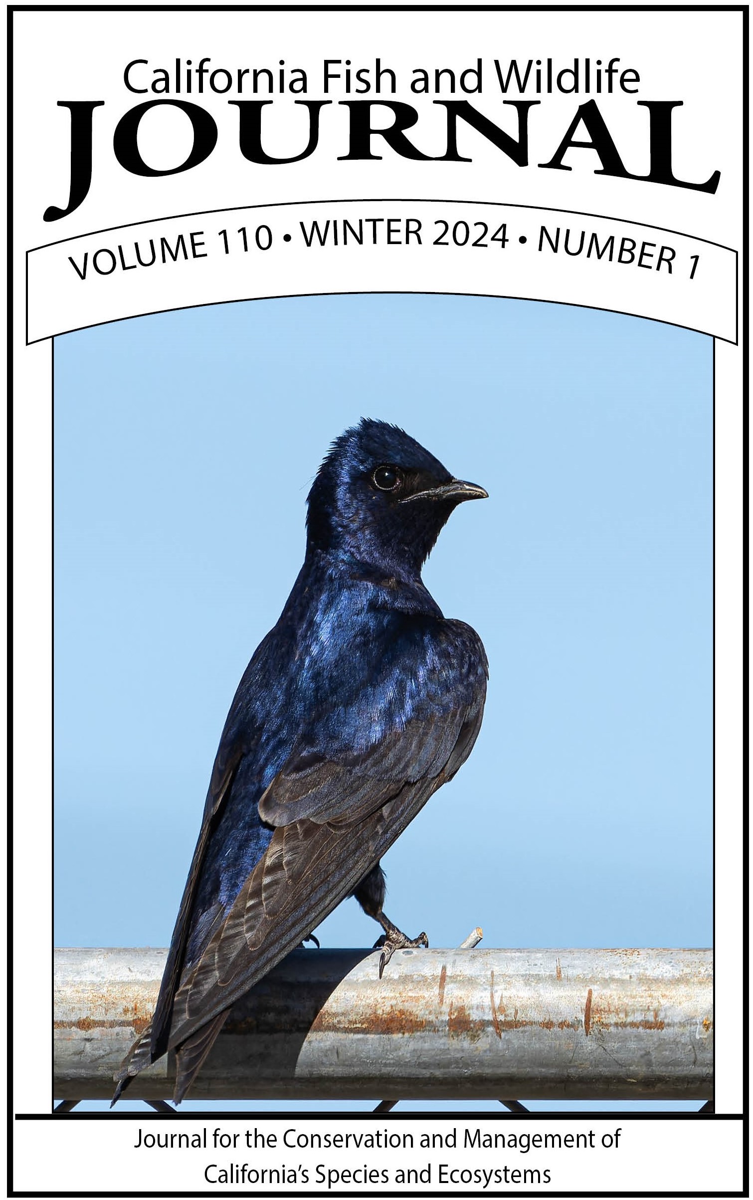 Cover of Issue 110(1) with a purple martin, a medium-size royal blue/purple bird, sitting on a metal fence