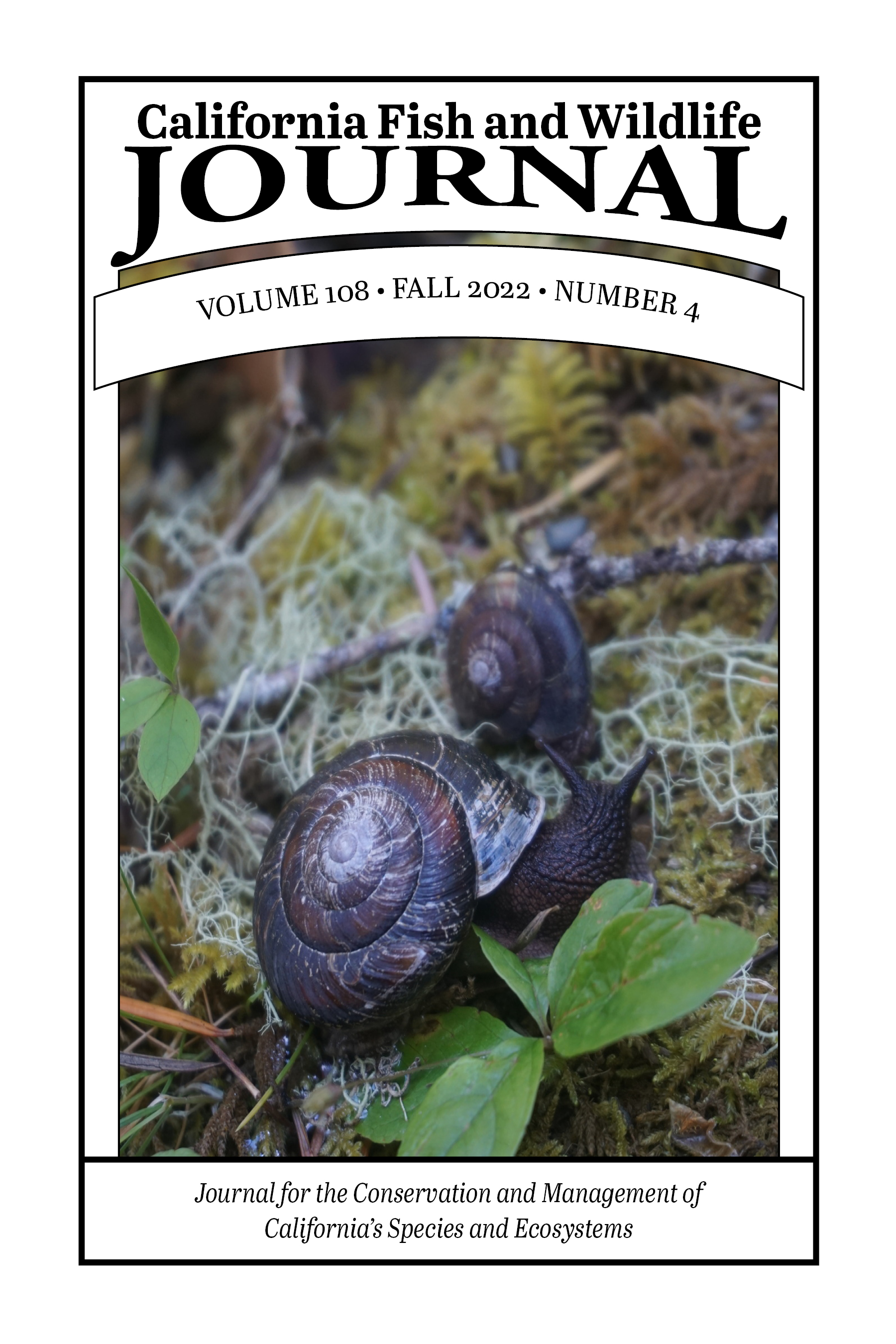 Cover of issue 108(4) with 2 Trinity bristle snails crawling through moss
