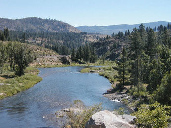 The Truckee River Wildlife Area is prime summer range habitat. The river and the interstate both divide the sub-units in the Loyalton-Truckee Deer Herd. (DFG photo by Sara Holm)
