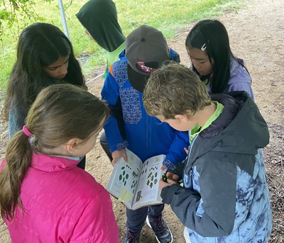 Children gather outdoors on a wooded trail, looking together at an open nature guidebook held by one of them. The book contains pictures and illustrations, and the children appear to be engaged in a nature activity