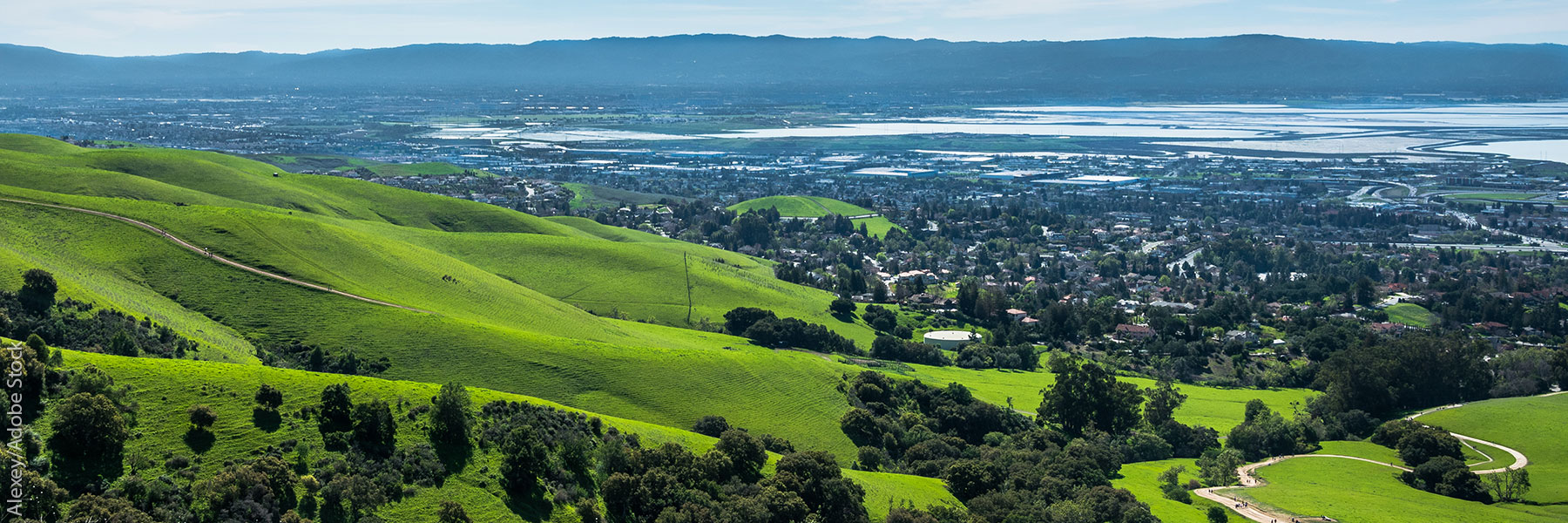 rolling green hills and coastal estuary