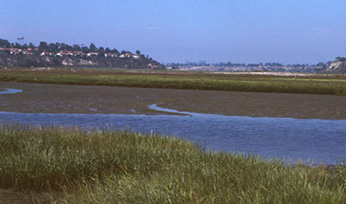 View of wetlands at Upper Newport Bay