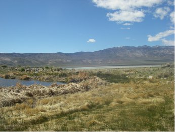 major spring and Deep Springs Lake in background