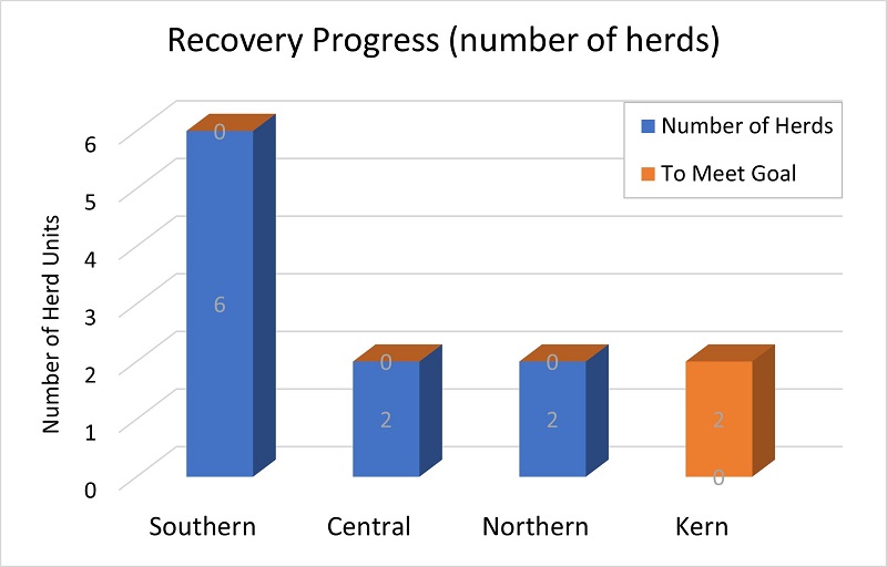 Sierra bighorn recovery progress - number of herds