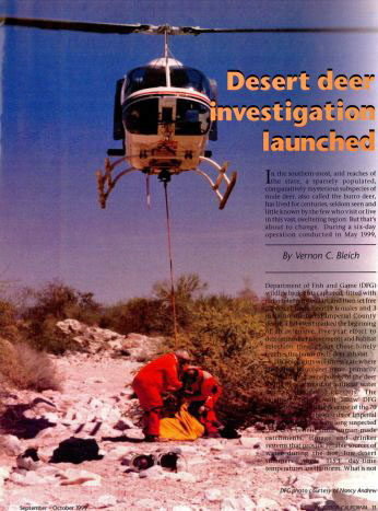 Helicopter Capture - Sonoran Desert Mule Deer - high desert