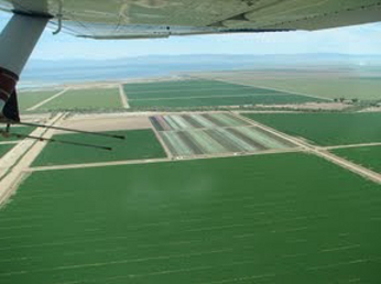Agricultural Fields irrigated from Colorado River and providing runoff to Salton Sea