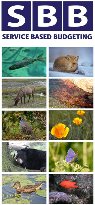 SBB logo with 10 other images: fish swimming, fox curled up, deer eating grass, spiny lobster, bird standing, California poppy, bear on tree, butterfly on flower, swimming duck, fish swimming
