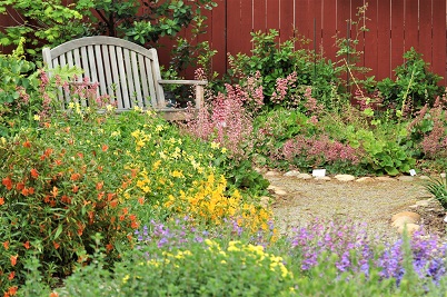 wooden bench in a garden, surrounded by purple, yellow, pink, and red flowers
