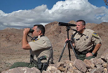 two wildlife officers surveying