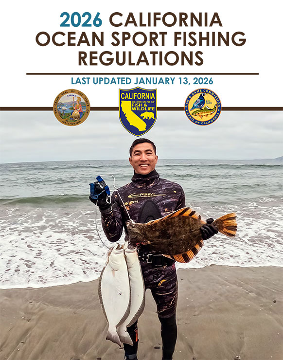 thumbnail of booklet cover - link opens document in new window