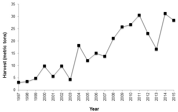 Graph 3 - Commercial edible algae harvest logbook data, 1997-2015