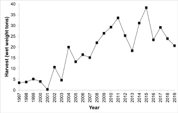 Graph 3 - Commercial edible algae harvest logbook data, 1997-2019
