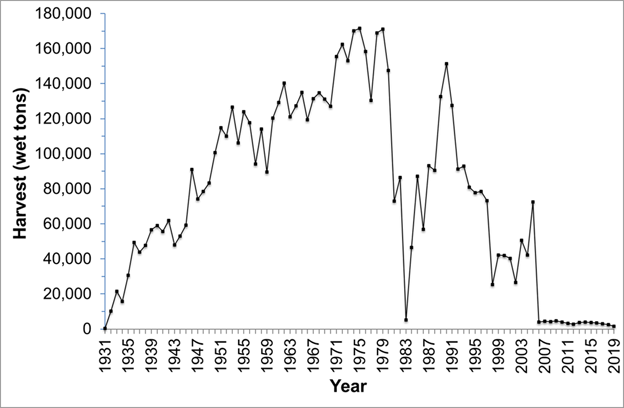 Graph 2 - Commercial kelp harvest logbook data for giant and bull kelp, 1931-2019