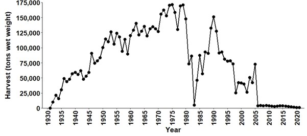 Total annual commercial harvest for giant and bull kelp, 1931-2021. The majority of harvest is giant kelp. Data from Commercial Kelp Harvester Monthly Reports and CDFW (2001).