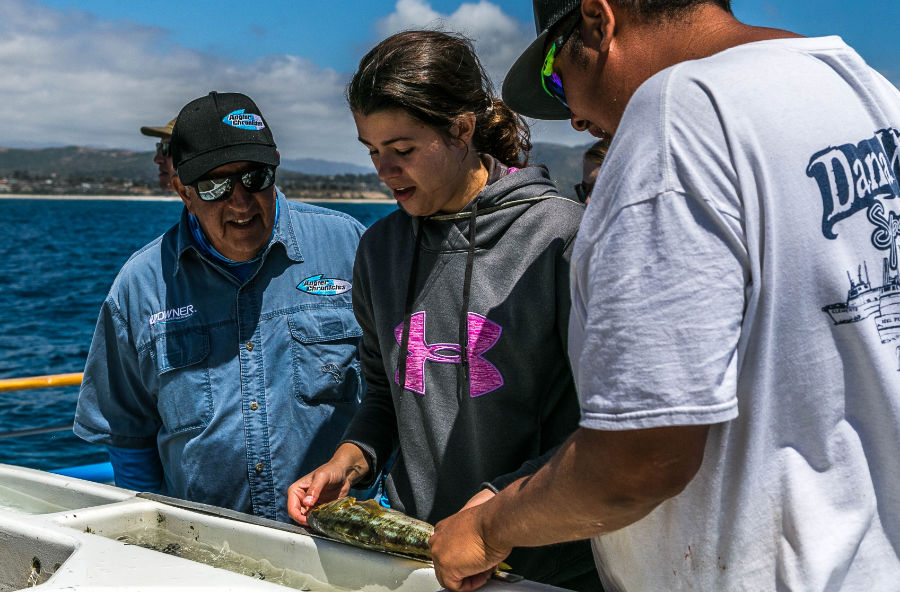 California Fishing Passport collaborative partners helping a new angler check the size of her kelp bass to ensure it is larger than the minimum size limit. (CDFW photo)