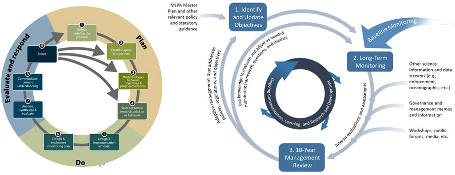 Two circular diagrams representing the adaptive management processes used by the Ecosystem Restoration Program and MPA Management Program.