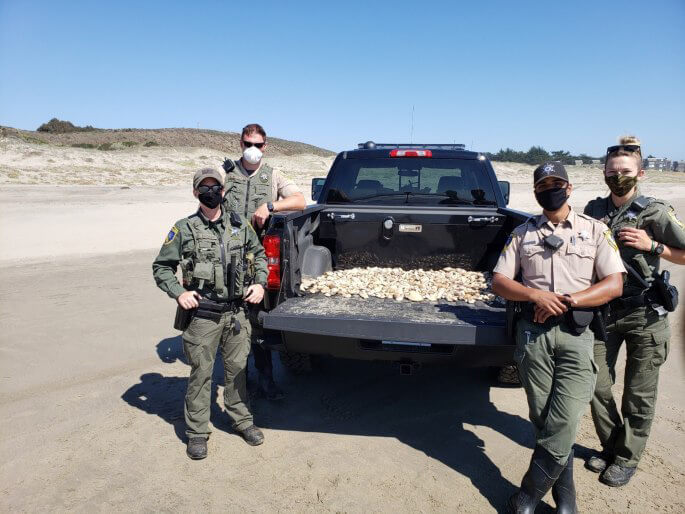 Wardens enforcing management measures seized a pickup load of Pismo clams from poachers. Many of the clams measured approximately half the legal size. (CDFW photo)