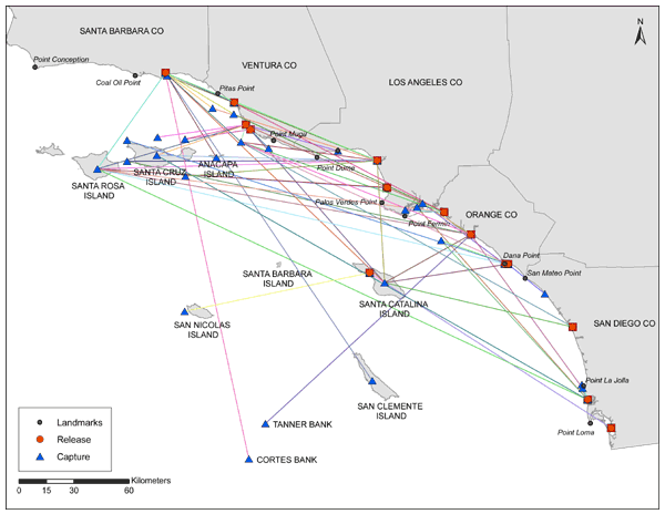 map showing numerous capture and release locations along the southern California coast