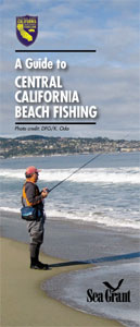 Guide to Central California Beach Fishing