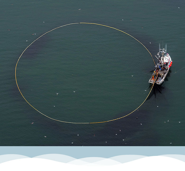 boat with net in the water