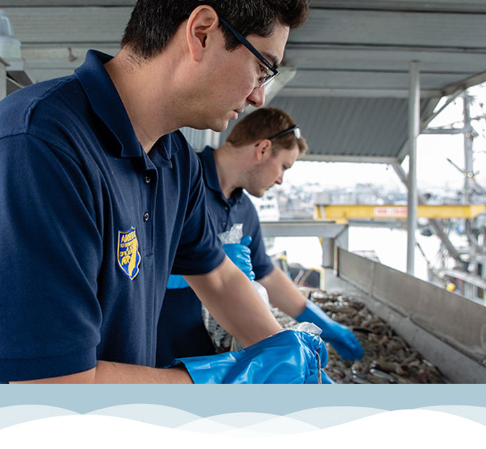 men with gloves by trough of fish