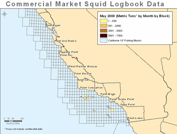 Commercial Market Squid Logbook Data