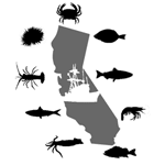 The Economic Structure of California's Commercial Fisheries