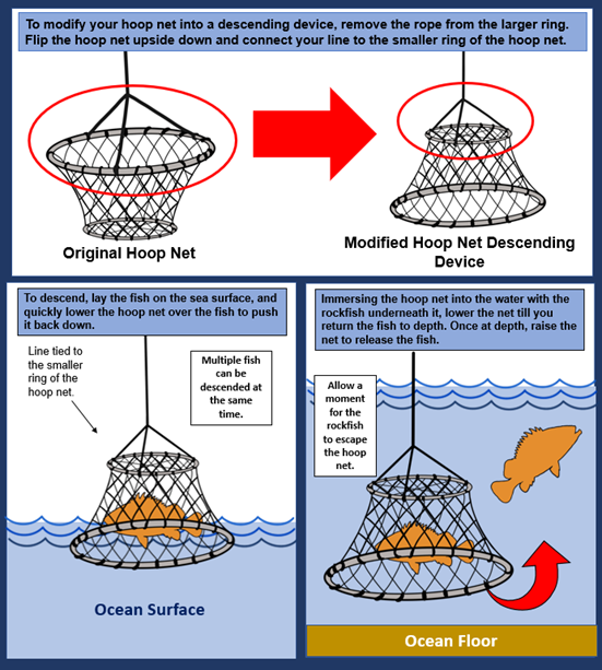 illustrated instructions for building a hoop net descender