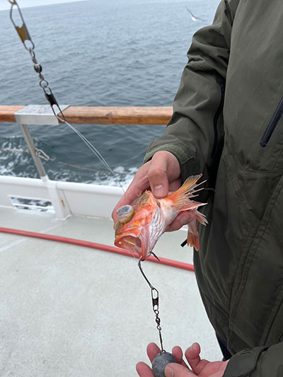 Man holds fish with a barbless inverted hook through its lower jaw