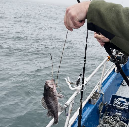 modified wire hanger with fish attached