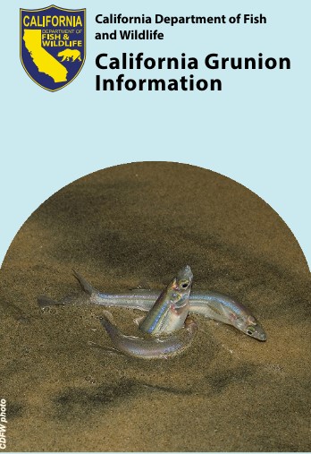 grunion brochure cover - open PDF in new tab