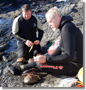 Abalone divers fill out report cards and tag abalone. CDFW photo by D. Hamilton