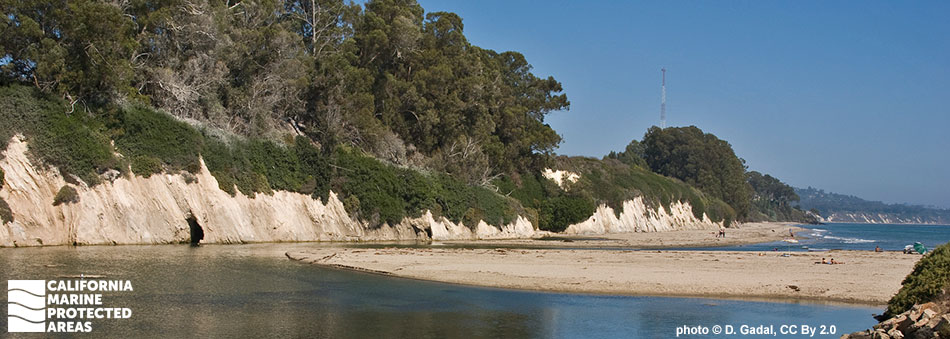 sandstone ledges topped with tall trees run along slow moving water flowing along a thin shoreline into the ocean