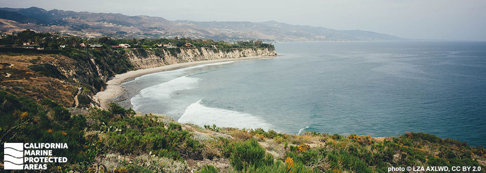 a curved beach follows a coastal promontory