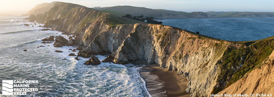 Point Reyes State Marine Reserve/State Marine Conservation Area, and ...