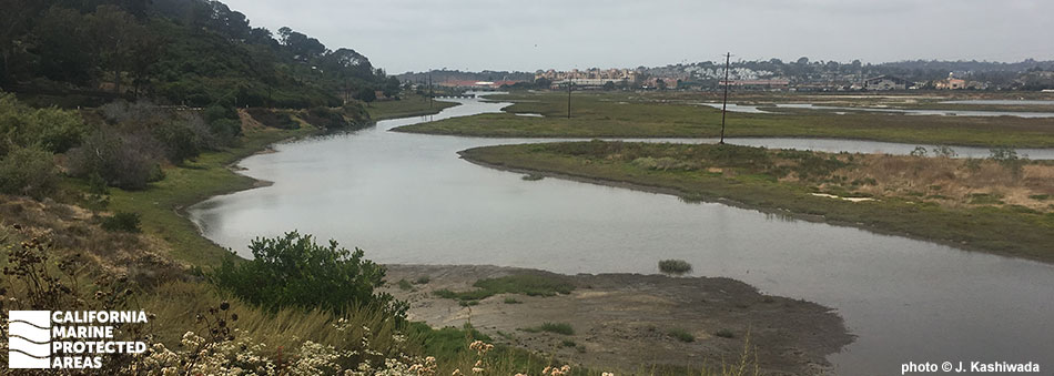 A view of the San Dieguito Lagoon State Marine Conservation Area