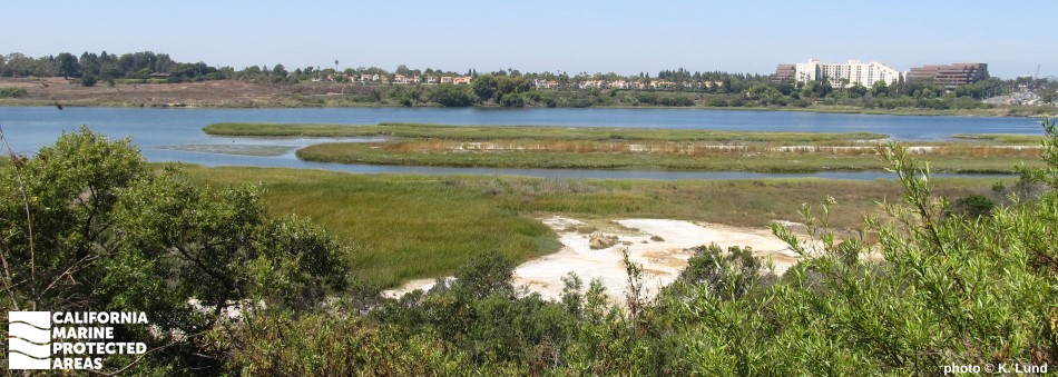 Upper Newport Bay (Back Bay) — Upper Newport Bay Nature Preserve / Ecological Reserve photo 6